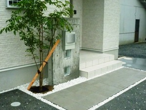 コンクリート打ち放し・杉板仕上げ6